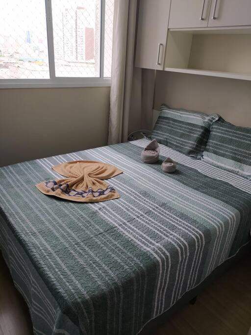 Apartment Fit Casa Bras *